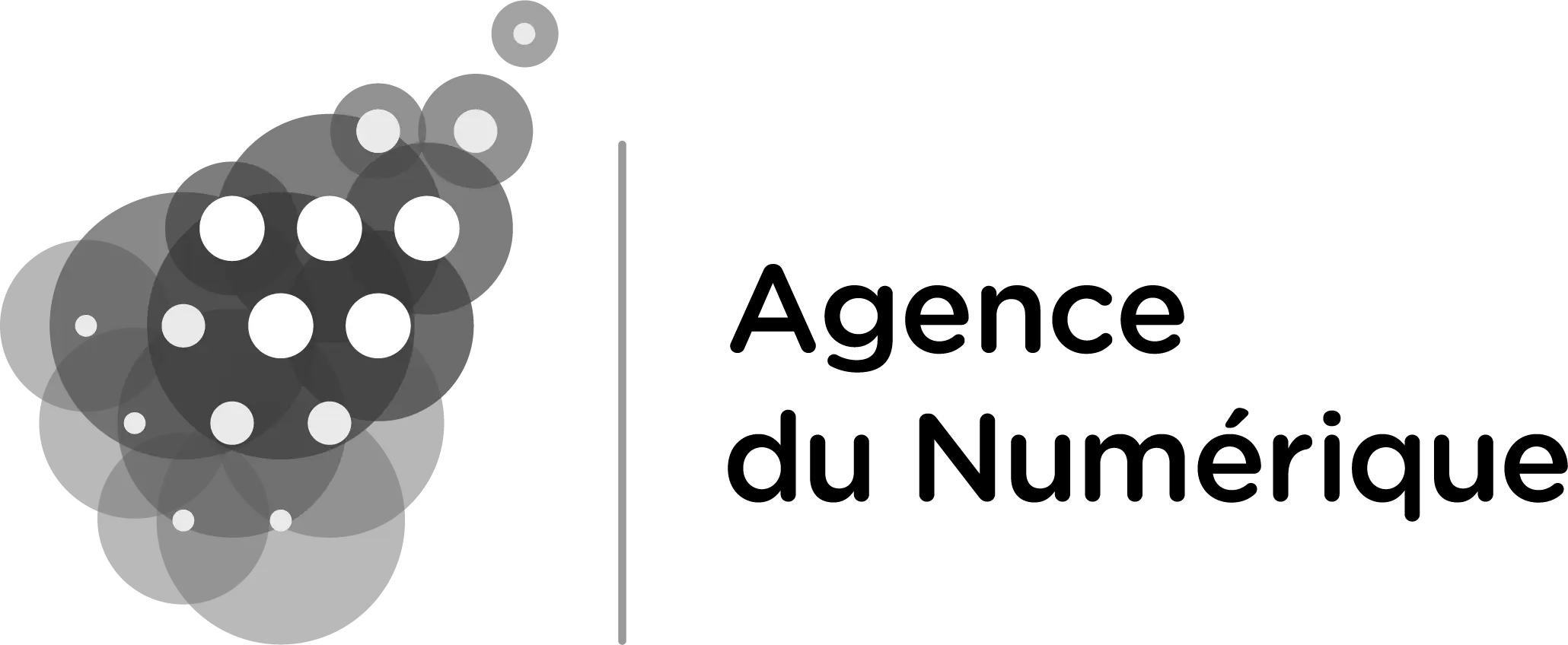 Agence du numérique
